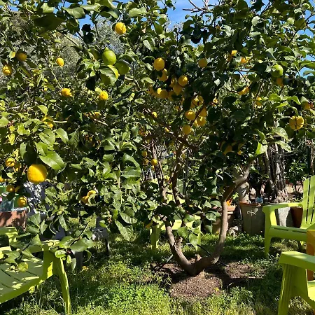 Punta E Mare Des Ou Des T2 2* Cargèse