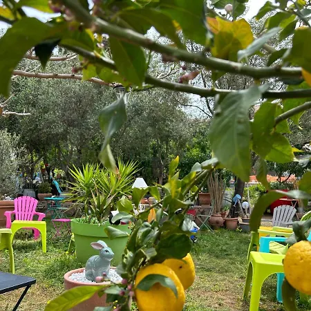 Punta E Mare Des Ou Des T2 Ξενοδοχείο 2*