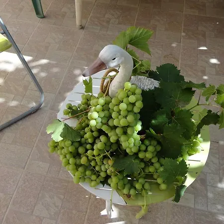 Punta E Mare Des Ou Des T2 Cargèse