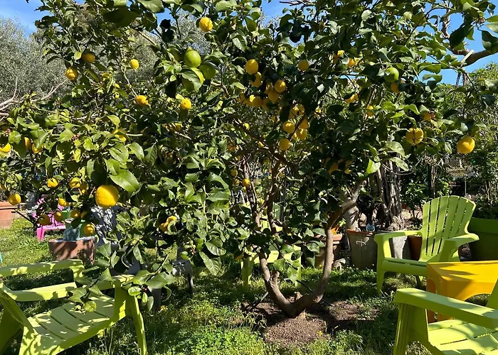 Punta E Mare Des Ou Des T2 2* Cargèse