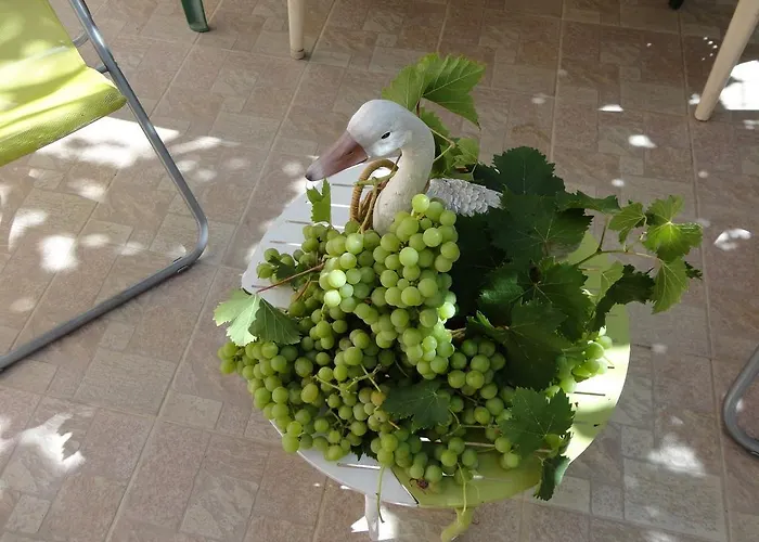 Punta E Mare Des Ou Des T2 Cargèse